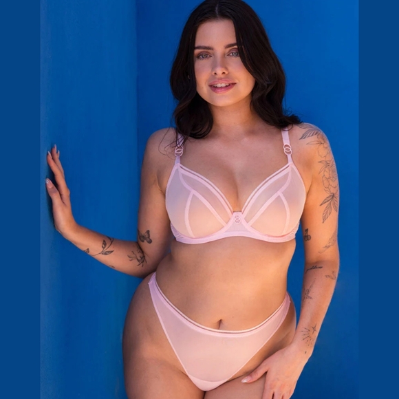 torrid Other - NEW Pink Mesh Bra & Panty Set By Curvy Kate Sz 38DDD/G & XL Sheer Baby Pink